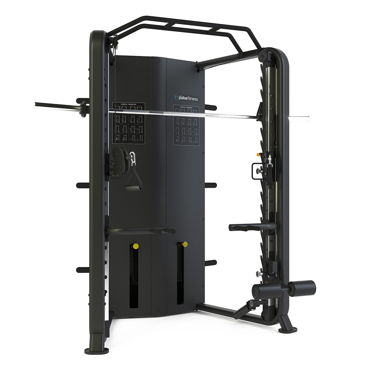 Multi-Functional Trainer Rack